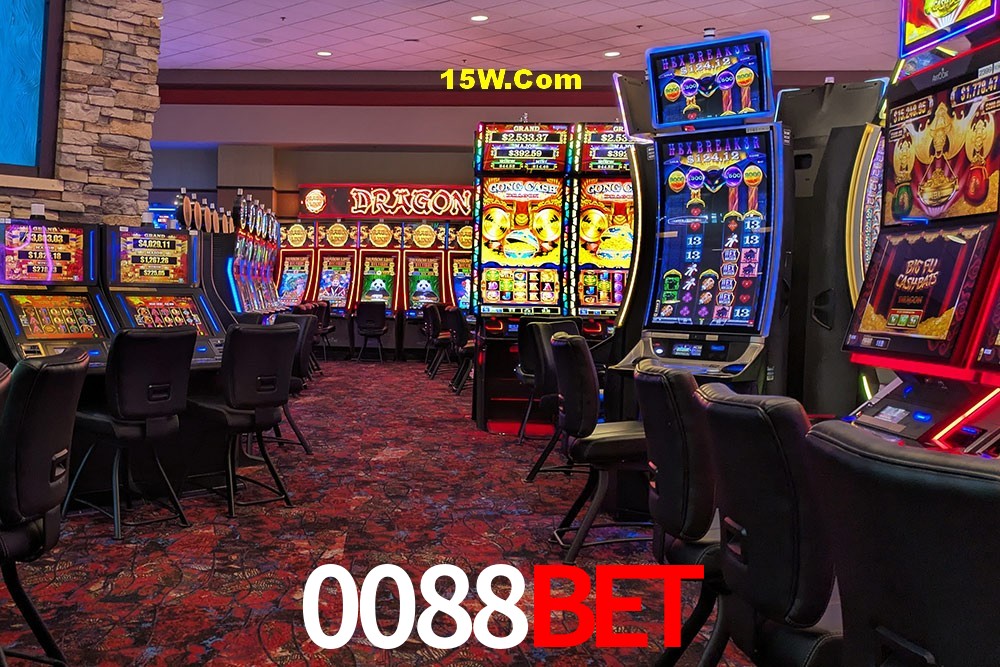 Statistics 0088Bet